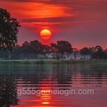 Owais Siddiqui Avatar